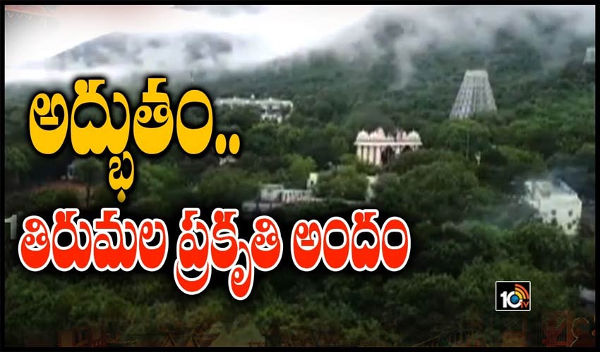 అద్భుతం.. తిరుమల ప్రకృతి అందం