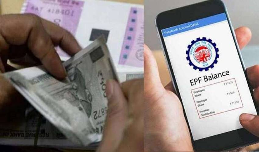 Epfo Users Can Check Their Pf Credit Interest Fom Passbook