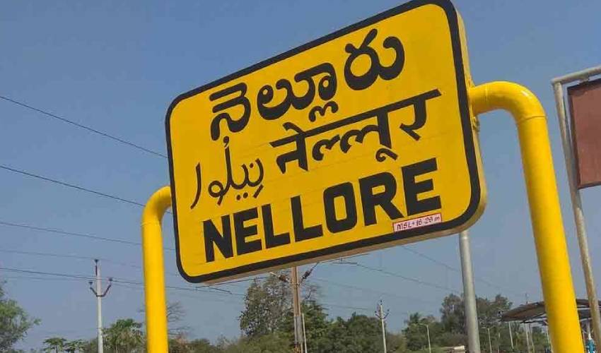 Nellore Corporation