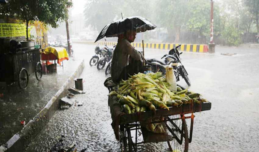 Rains In Nellore District