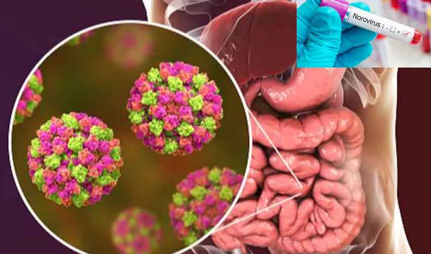 Norovirus : కేరళలో కొత్త వైరస్ కలకలం.. అప్రమత్తంగా ఉండాలని హెచ్చరిక Norovirus : కేరళలో కొత్త వైరస్ కలకలం.. అప్రమత్తంగా ఉండాలని హెచ్చరిక