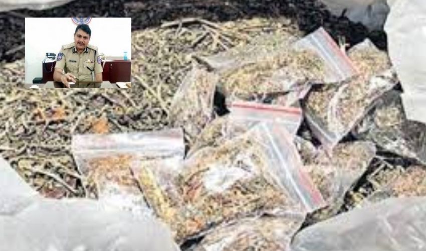 Interstate Gang Arrest : రూ.2 కోట్ల విలువైన గంజాయి సరఫరా చేస్తున్న అంతరాష్ట్ర ముఠా అరెస్ట్ Interstate Gang Arrest : రూ.2 కోట్ల విలువైన గంజాయి సరఫరా చేస్తున్న అంతరాష్ట్ర ముఠా అరెస్ట్