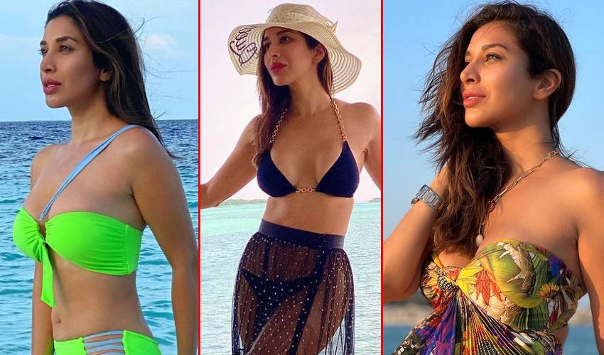 Sophie Choudry : మతిపోగొడుతున్న మాంచెస్టర్ ముద్దుగుమ్మ