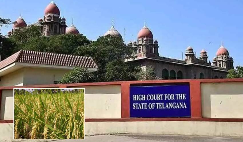 TS High Court : వరిసాగుపై కలెక్టర్లకు హైకోర్టు ఆదేశాలు TS High Court : వరిసాగుపై కలెక్టర్లకు హైకోర్టు ఆదేశాలు