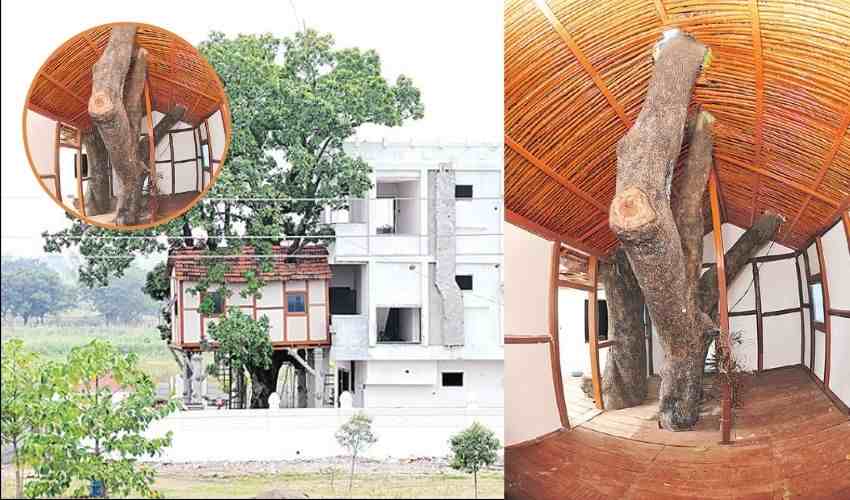 Telangana Man Built Home Without Cutting Tree (1)