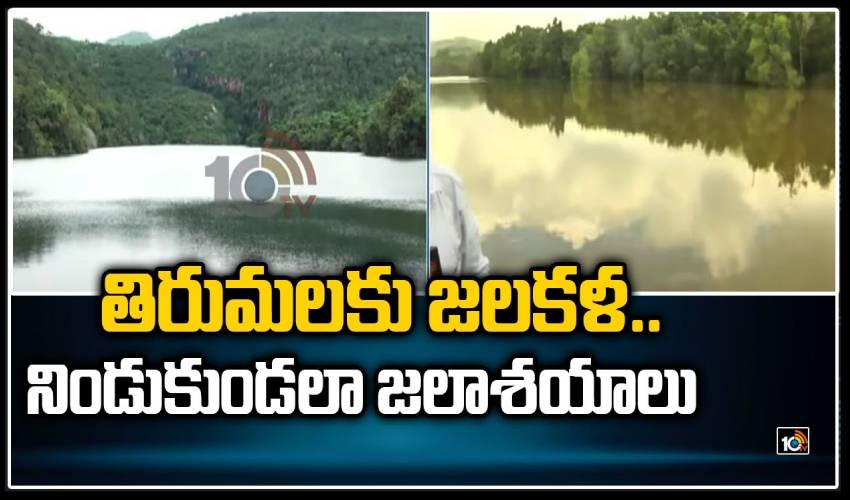 Tirumala Projects Full With Flood Water