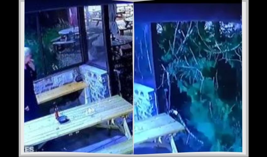 Viral Video : సిగరేట్ తాగుతుండగా..కూలిన భారీ వృక్షం, తర్వాత Viral Video : సిగరేట్ తాగుతుండగా..కూలిన భారీ వృక్షం, తర్వాత