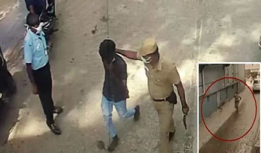 Vellore Sp Chase Thiefs