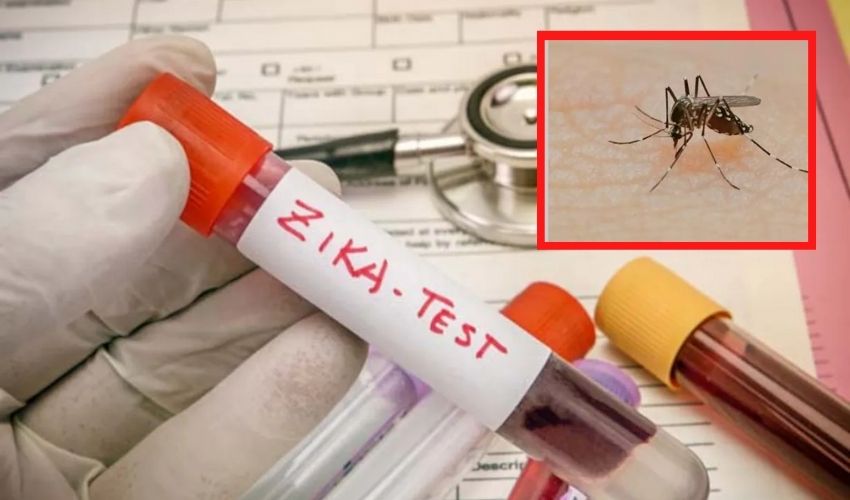 Zika Virus In Kanpur