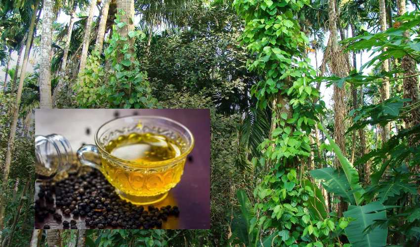 Peppar Tea