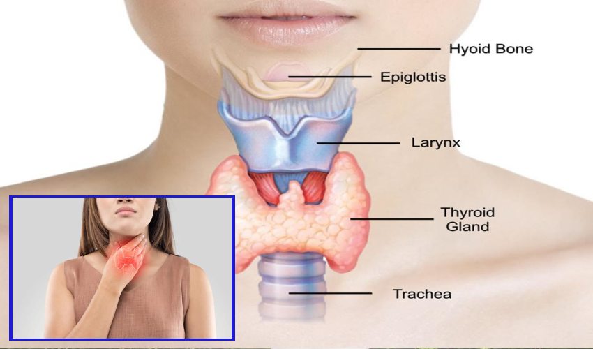 Thyroid : థైరాయిడ్ లక్షణాలు…నివారణ చిట్కాలు Thyroid : థైరాయిడ్ లక్షణాలు…నివారణ చిట్కాలు
