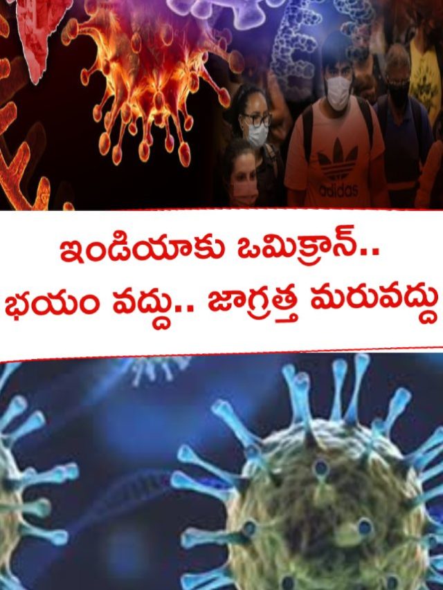 >ఒమిక్రాన్.. భయం వద్దు.. జాగ్రత్త మరువద్దు