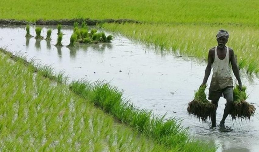 Farmers: రేపటి నుంచి రైతుల ఖాతాల్లో డబ్బులు Farmers: రేపటి నుంచి రైతుల ఖాతాల్లో డబ్బులు