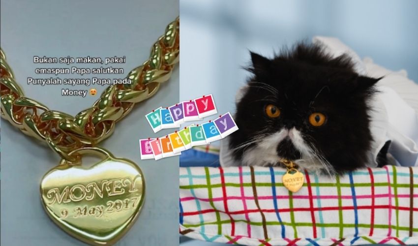 Gold Locket For Cat Gift