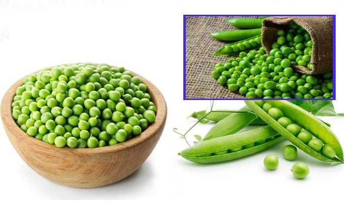 Green Peas : ఆరోగ్యానికి పచ్చి బఠానీలు చేసే మేలెంతంటే? Green Peas : ఆరోగ్యానికి పచ్చి బఠానీలు చేసే మేలెంతంటే?