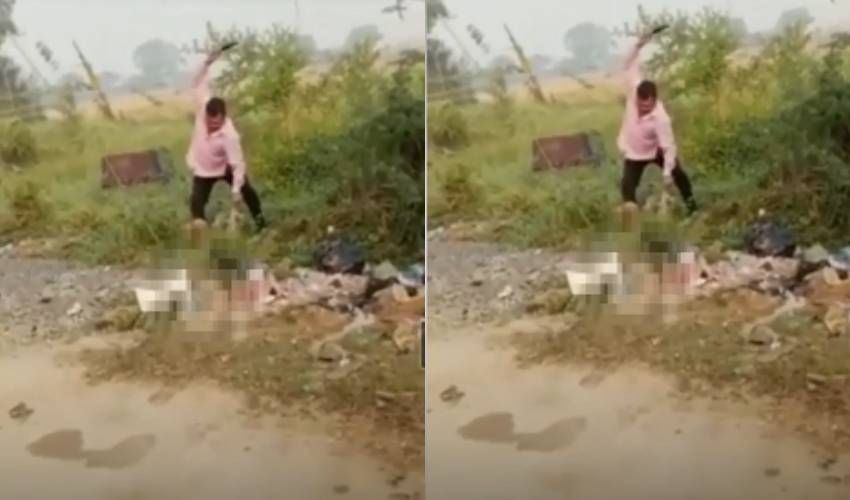 Man Break Dog Legs