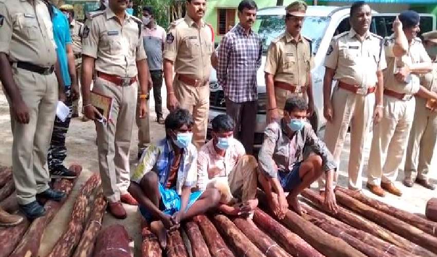 Three held for Red sandalwood smuggling