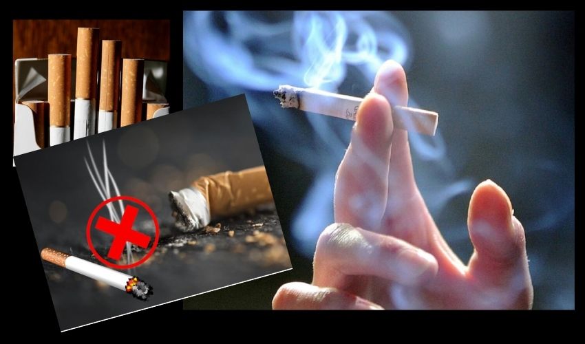 Newzealand Smoke Free