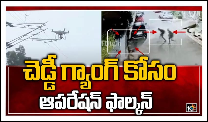 చెడ్డీ గ్యాంగ్ కోసం ఆపరేషన్ ఫాల్కన్