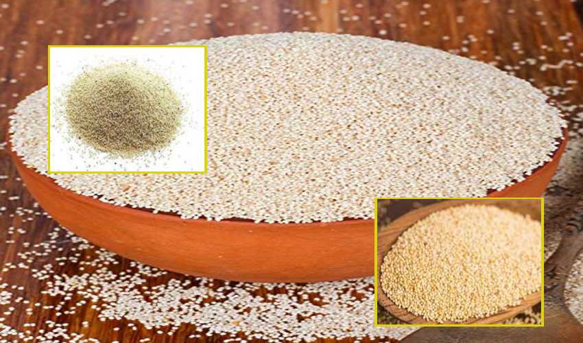 Poppy Seeds : గసగసాలు ఆరోగ్యానికి మేలు చేస్తాయా?… Poppy Seeds : గసగసాలు ఆరోగ్యానికి మేలు చేస్తాయా?…