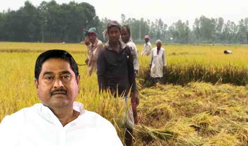 Paddy Farmer