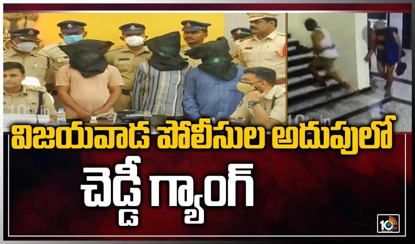 విజయవాడ పోలీసుల అదుపులో చెడ్డీ గ్యాంగ్