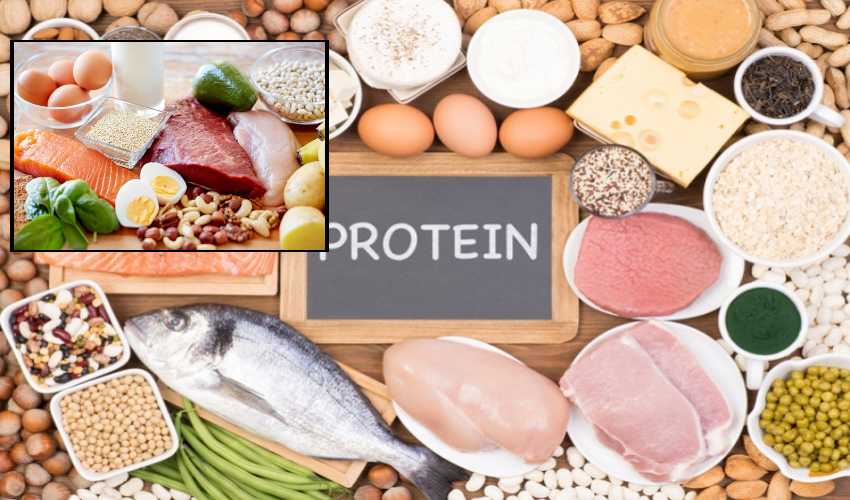 Protein (1)