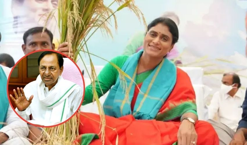 Sharmila Fired On Kcr And Trs Party