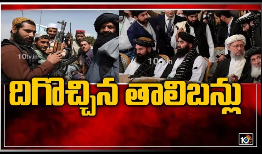 Special Report On Taliban, Taliban Fighters, Taliban Leaders, Special Reports On Taliban