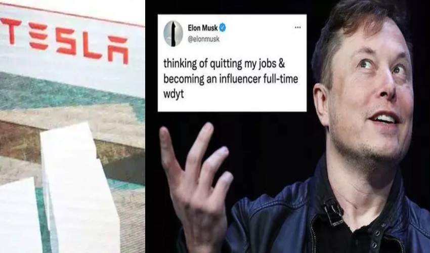 Thinking Of Quitting My Jobs Elon Musk Posts On Twitter, Gets A Coaching Offer