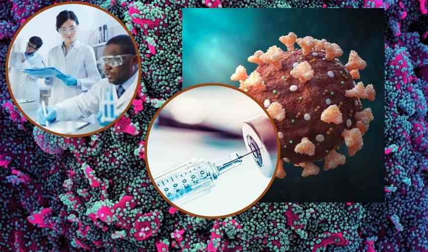 Vaccine : ఈసారి టార్గెట్ కరోనా కొమ్ముకాదు..పునరుత్పత్తిపైనే..వేరియంట్ ఏదైనా వ్యాక్సిన్ ఒక్కటే..: UCLA Vaccine : ఈసారి టార్గెట్ కరోనా కొమ్ముకాదు..పునరుత్పత్తిపైనే..వేరియంట్ ఏదైనా వ్యాక్సిన్ ఒక్కటే..: UCLA