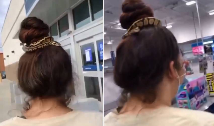Woman Uses Snake As Hairband