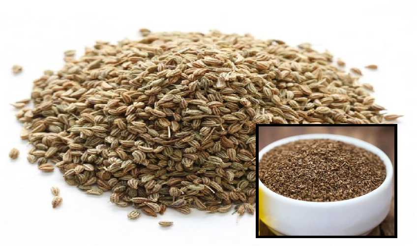 Ajwain Seeds : చలికాలంలో శ్వాస సమస్యలు దూరం చేసే వాము Ajwain Seeds : చలికాలంలో శ్వాస సమస్యలు దూరం చేసే వాము