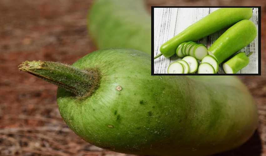 Bottle Gourd : సొరకాయ తింటే కలిగే ప్రయోజనాలు ఎన్నంటే? Bottle Gourd : సొరకాయ తింటే కలిగే ప్రయోజనాలు ఎన్నంటే?