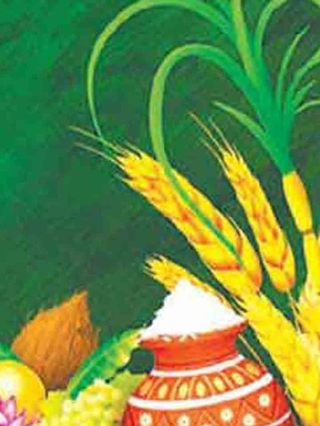 >తెలుగు వారికి అతిపెద్ద పండుగ
