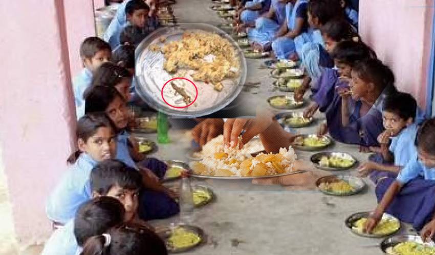 Dead Lizard In Mid Day Meals..80 School Students Sick