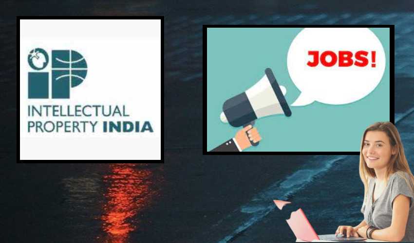 Ip India Jobs