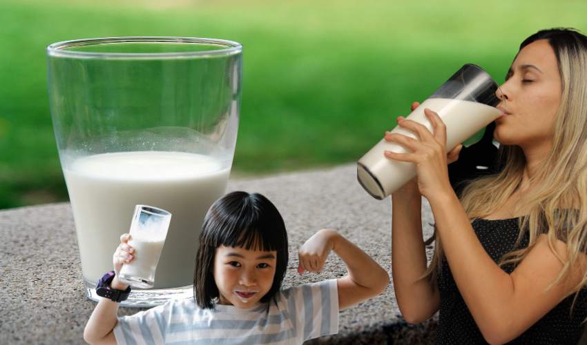 Milk : రోజు పాలు తాగితే గుండెజబ్బులు వచ్చే అవకాశం తక్కువే?… Milk : రోజు పాలు తాగితే గుండెజబ్బులు వచ్చే అవకాశం తక్కువే?…