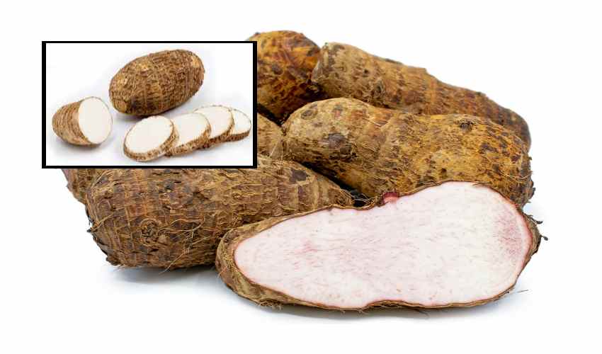 Taro Root : ఆరోగ్యానికి మేలు చేసే… చామ దుంప Taro Root : ఆరోగ్యానికి మేలు చేసే… చామ దుంప