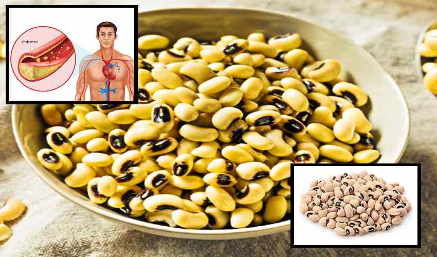 Alasandalu : రక్తంలో కొలెస్ట్రాల్ తగ్గించే అలసందలు Alasandalu : రక్తంలో కొలెస్ట్రాల్ తగ్గించే అలసందలు