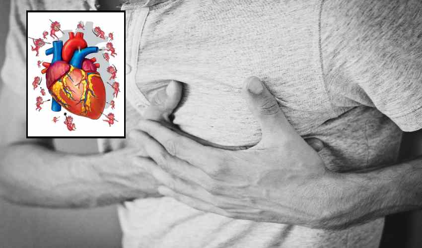 Blood Clots : గుండె రక్త నాళాల్లో పూడికలు….ఎవరిలో ఎక్కువంటే? Blood Clots : గుండె రక్త నాళాల్లో పూడికలు….ఎవరిలో ఎక్కువంటే?