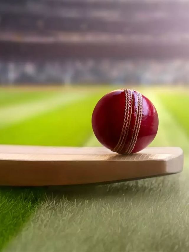 >చైనా వాళ్ళు క్రికెట్ ఎందుకు ఆడరో తెలుసా?