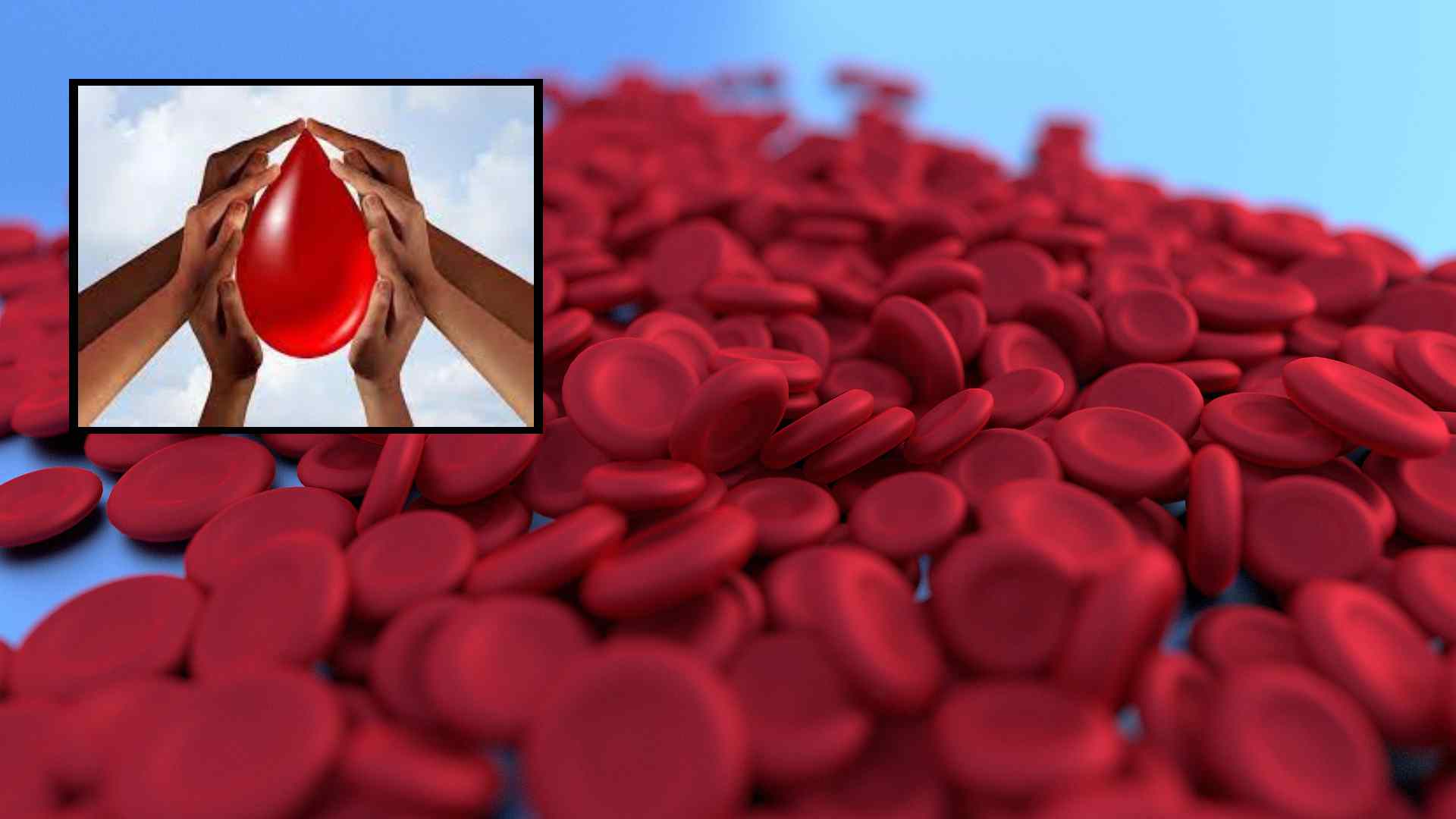 Hemoglobin : శరీరంలో హిమోగ్లోబిన్ మోతాదు ఎంత ఉండాలంటే? Hemoglobin : శరీరంలో హిమోగ్లోబిన్ మోతాదు ఎంత ఉండాలంటే?