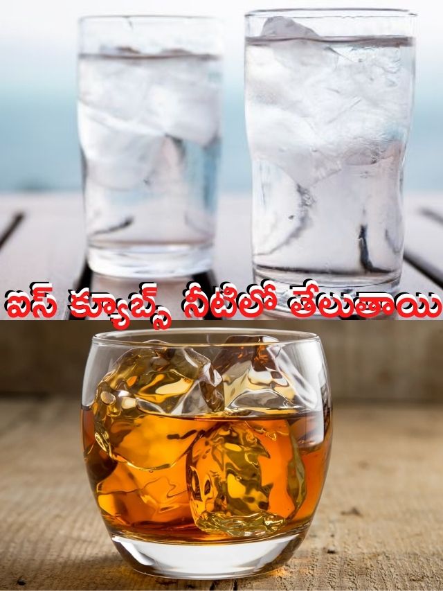 ఆల్కహాల్ లో మునిగిపోతుంది ఎందుకు? 10TV Telugu Ice cubes float on water why drown in alcohol