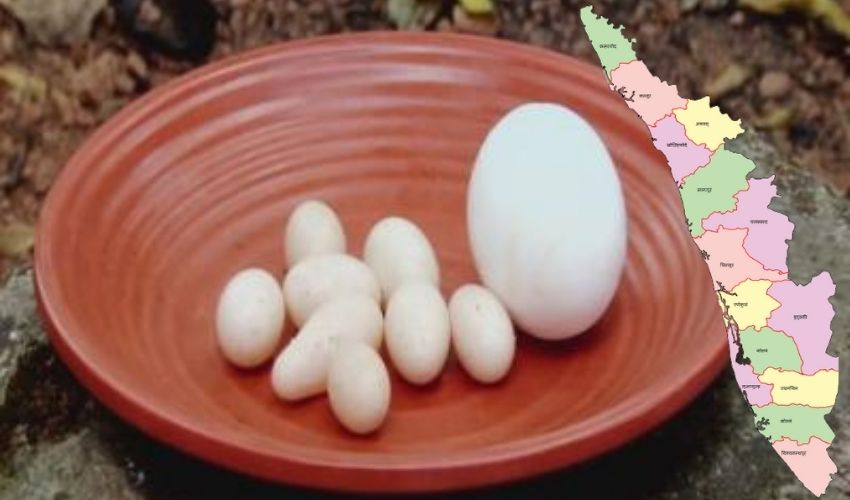 Kerala eggs
