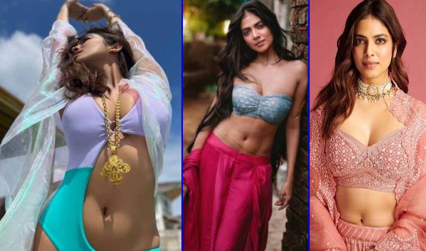 Malavika Mohanan : మిల మిల మెరుపుల మాళవికా మోహనన్..