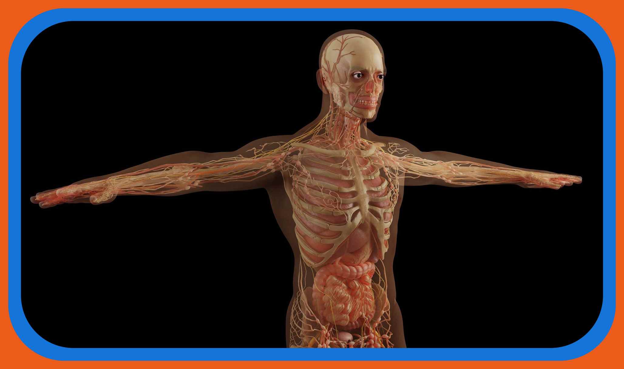 Metabolism : శరీరంలో జీవక్రియలు మందగిస్తే బరువు పెరగటం ఖాయమా!… Metabolism : శరీరంలో జీవక్రియలు మందగిస్తే బరువు పెరగటం ఖాయమా!…