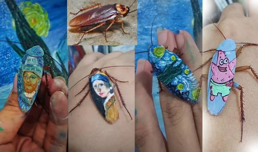 Painting On Cockroaches