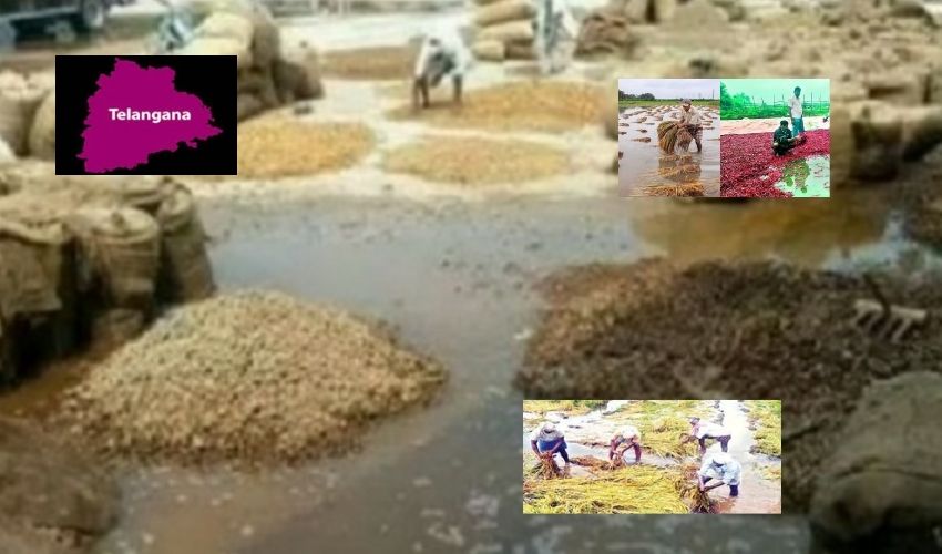 Telangana Rains : అన్నదాతలను నిండా ముంచిన అకాల వర్షాలు Telangana Rains : అన్నదాతలను నిండా ముంచిన అకాల వర్షాలు