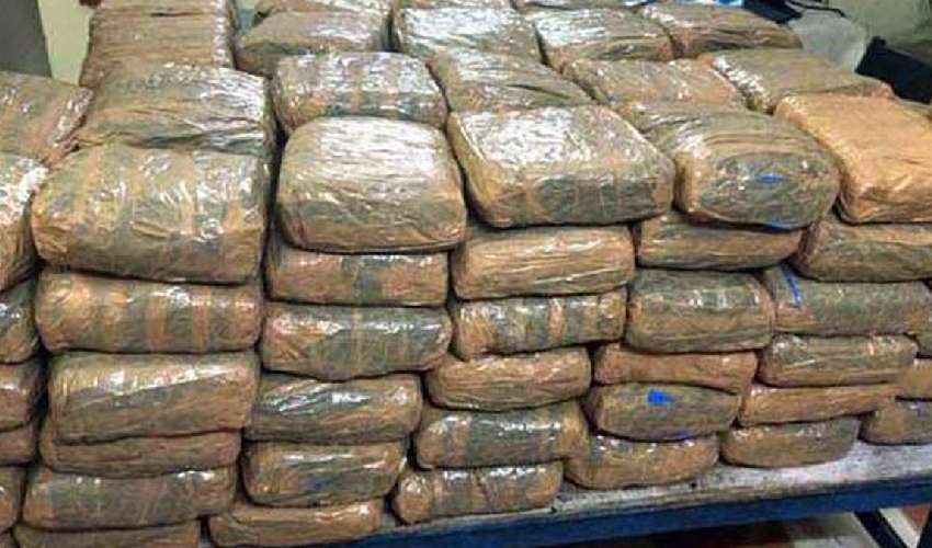 Sdnr Ganja Seized